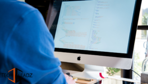 custom software development chicago